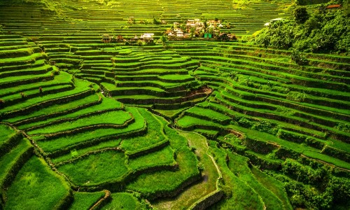阳光药品查询入口-阳光平台药品价格查询官网、阳光平台药品价格查询系统 -阳光平台药品价格查询网